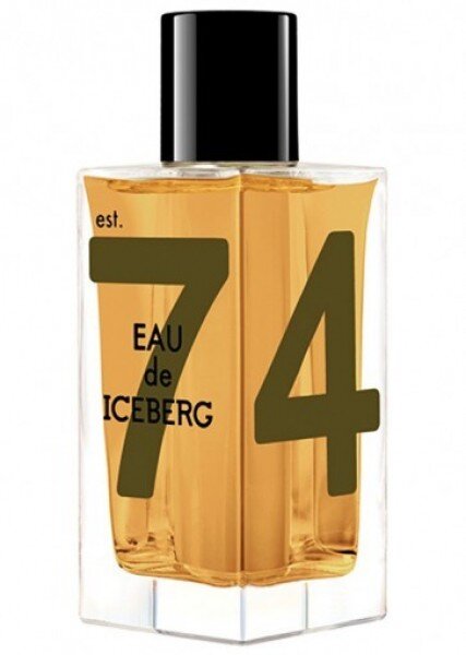 Iceberg Eau de Iceberg Amber EDT 100 ml Erkek Parfümü kullananlar yorumlar